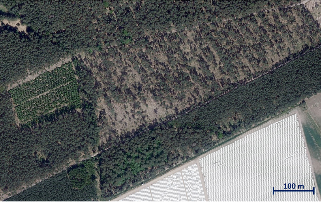 DOP-Aufnahme (2025) © GeoBasis-DE/LVermGeo ST DOP-Aufnahme (2025) © GeoBasis-DE/LVermGeo ST