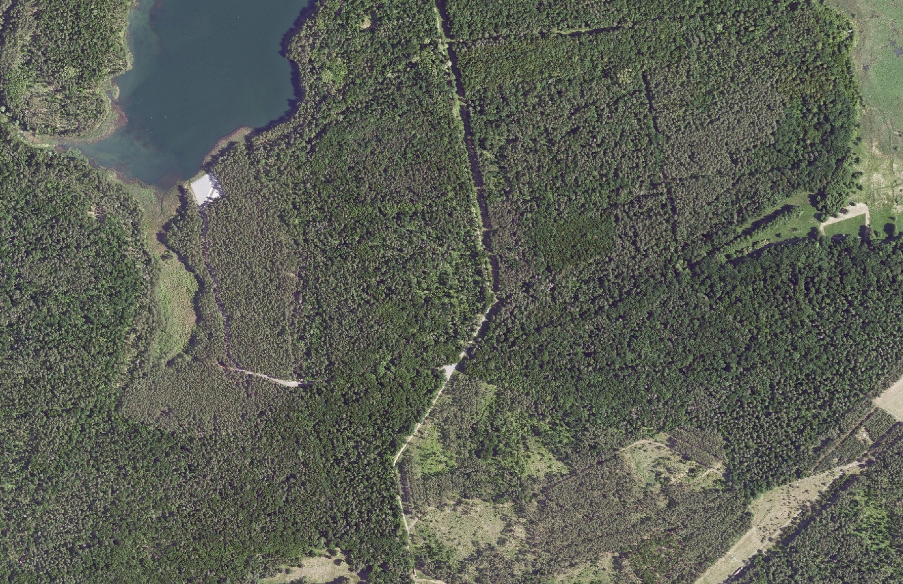 DOP20, Waldfläche © GeoBasis-DE/LVermGeo ST DOP20, Waldfläche © GeoBasis-DE/LVermGeo ST