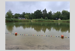 Abb. 2: Kleiner Waldsee Plötzky (Foto © LAV)