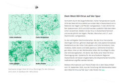 Abb. 2: Mückenatlas, Nachweise einiger West-Nil-Virus-Überträger für den Zeitraum 2012-2025. © GeoBasis-DE / BKG (2022) (https://mueckenatlas.com/unsere-forschung, 02.07.2026)
