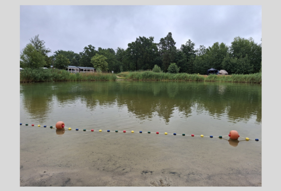 Abb. 2: Kleiner Waldsee Plötzky (Foto © LAV)