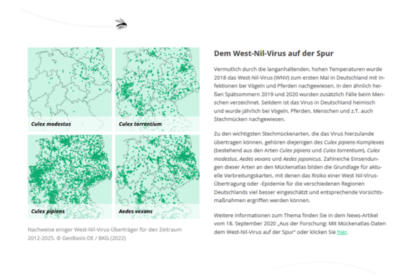 Abb. 2: Mückenatlas, Nachweise einiger West-Nil-Virus-Überträger für den Zeitraum 2012-2025. © GeoBasis-DE / BKG (2022) (https://mueckenatlas.com/unsere-forschung, 02.07.2026)